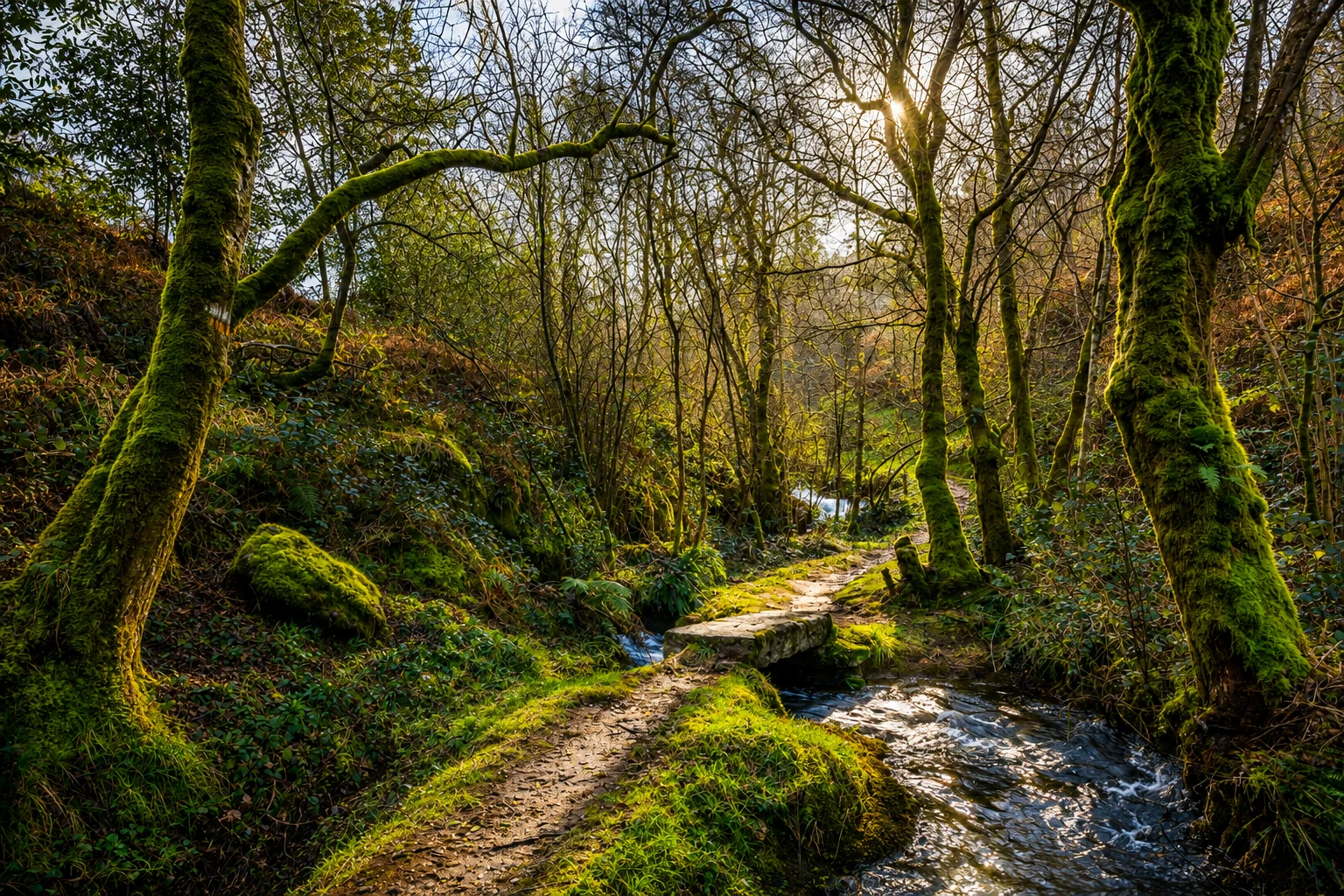 Guía turística de Ponteareas: naturaleza y rutas junto al río Tea