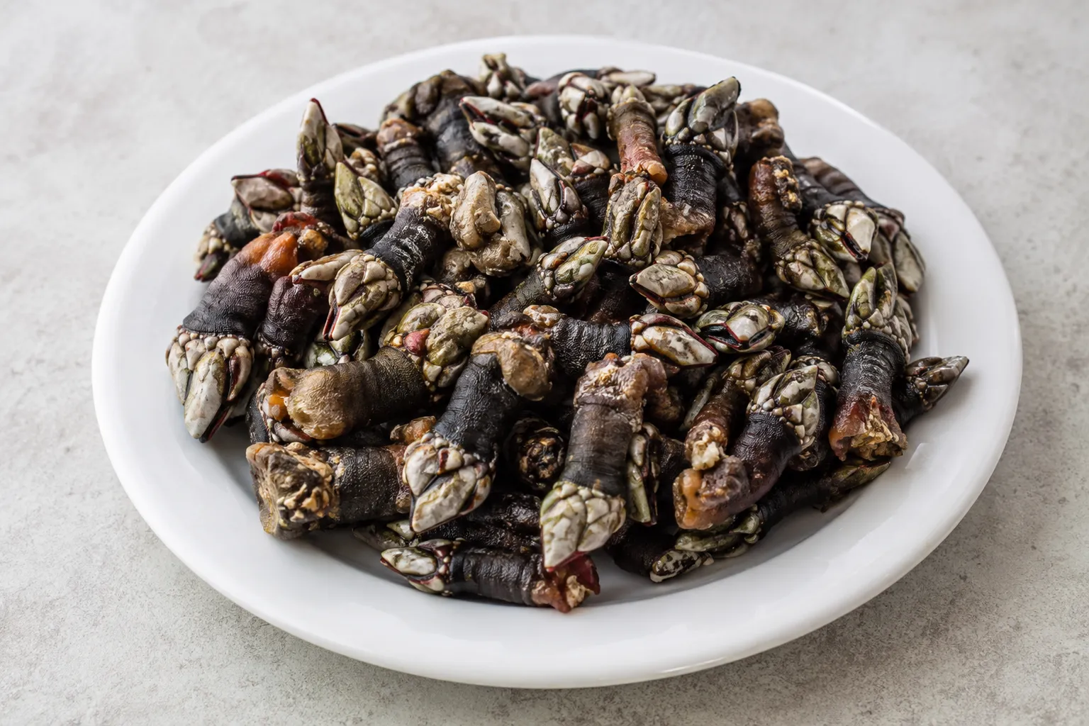 Percebes cocidos