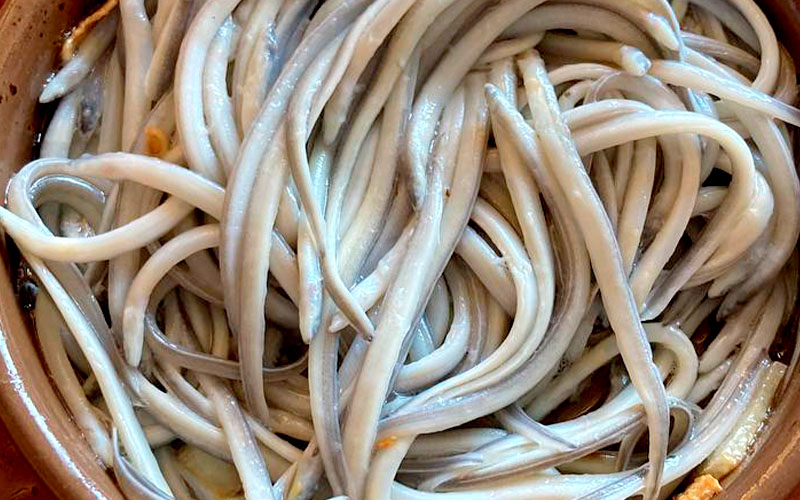 Angulas al Ajillo